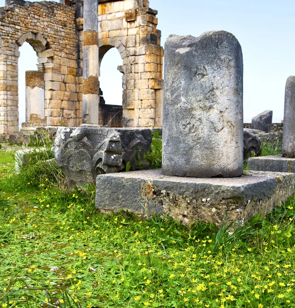 Volubilis in Marocco Africa il vecchio monumento romano deteriorato — Foto Stock