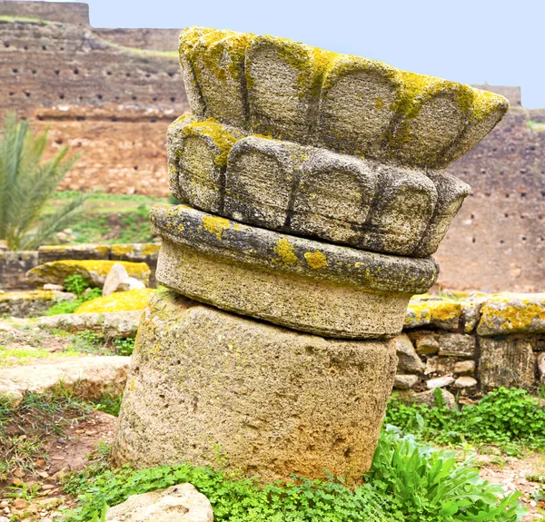 Chellah i Marocko Afrika den gamla romerska försämrats monumentet en — Stockfoto