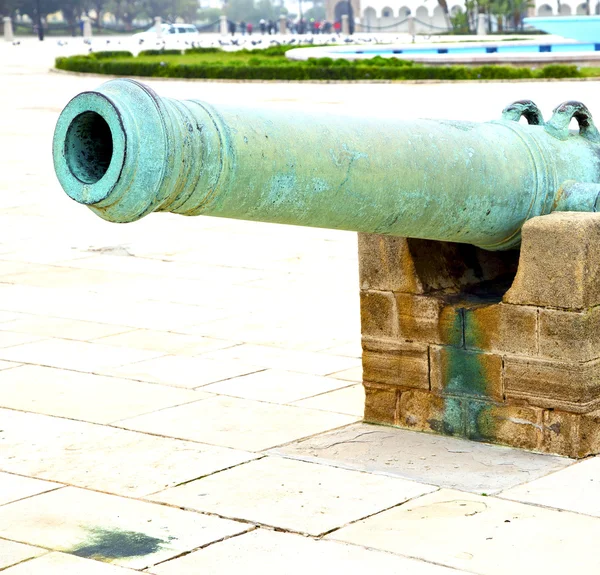 Bronze cannon in africa morocco  green  and the old pavement — Stock Photo, Image