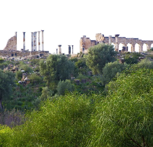 Volubilis in Marocco Africa il vecchio monumento romano deteriorato — Foto Stock