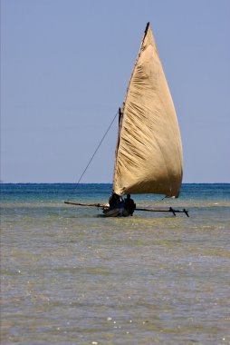 rüzgarda meraklı olmak