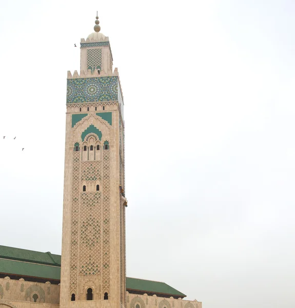 Muslim in moschee das geschichtssymbol marokko-afrika minare — Stockfoto