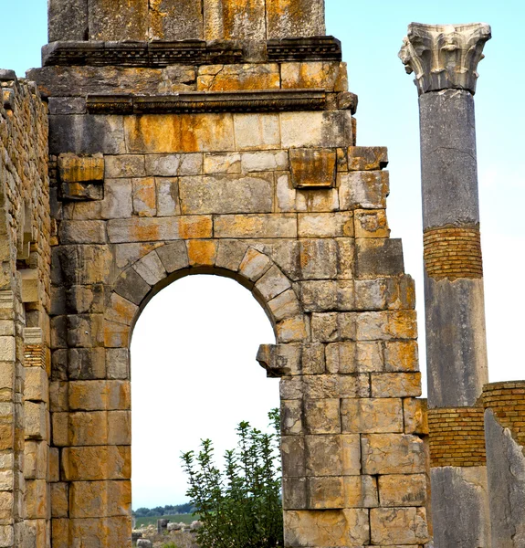 Volubilis en Marruecos África el viejo monumento romano deteriorado — Foto de Stock