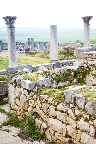 Volubilis в Марокко Африки старий пам'ятник і сайт — стокове фото