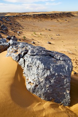  morocco sahara ve rock taş gökyüzü çölde eski bush