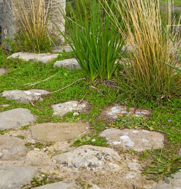 Volubilis Fas Afrika eski Roma bozulan anıt 
