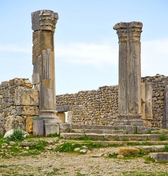 Volubilis in marokko-afrika das altrömische verfallene denkmal — Stockfoto