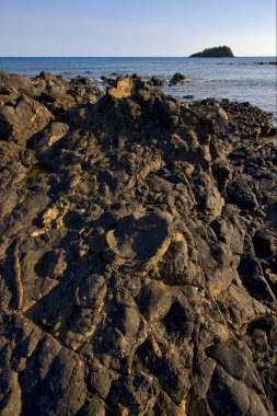 madagaskar taş meraklı bir plajda halı olmak