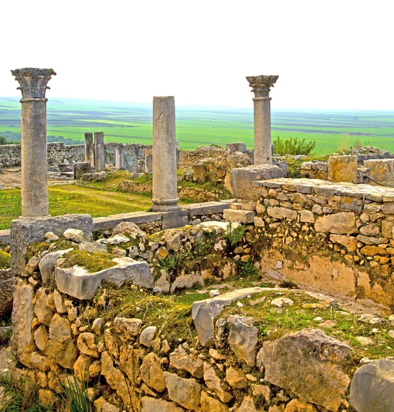 Volubilis в Марокко Африці старі римські погіршення пам'ятника — стокове фото