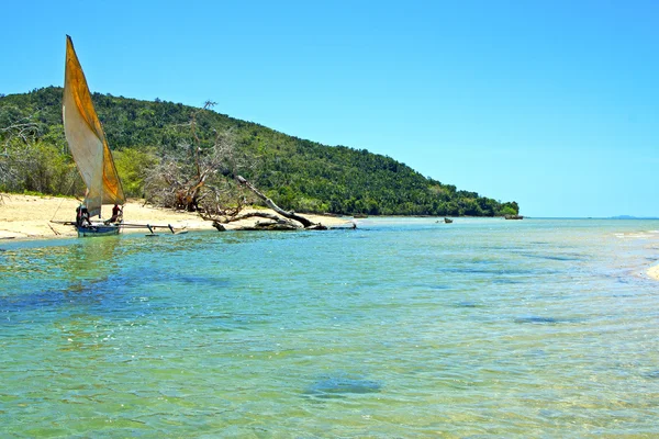 Pirogue algas de playa en el océano Índico y la roca — Foto de Stock