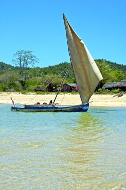 gökyüzü ve rock pirogue plaj deniz yosunu meraklı olmak