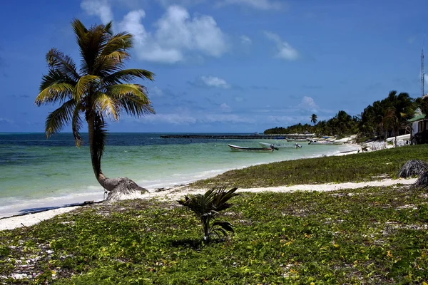 Kajütboote und Palmen in der asiatischen Kaan-blauen Lagune — Stockfoto