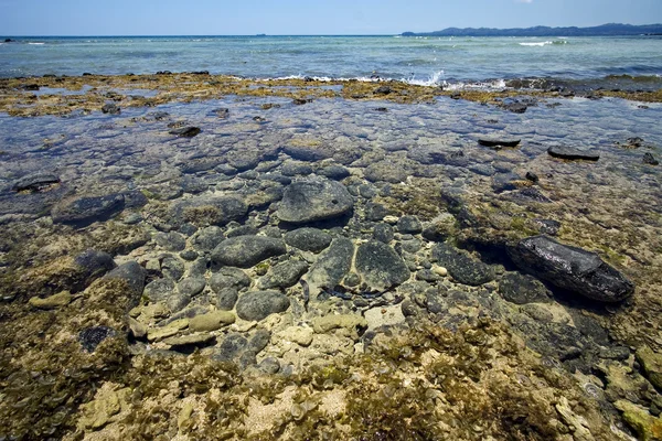 Low in madagascar — Stock Photo, Image