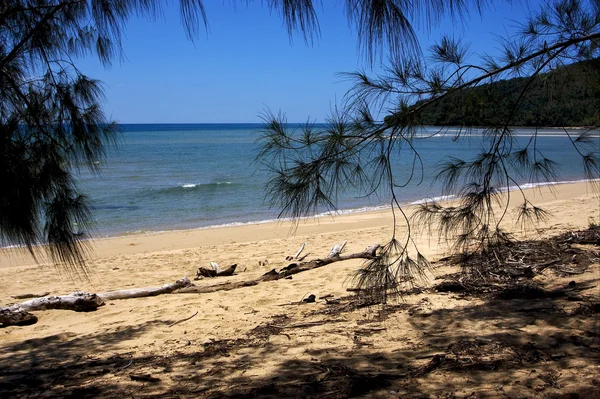 Madagaskars Strand — Stockfoto