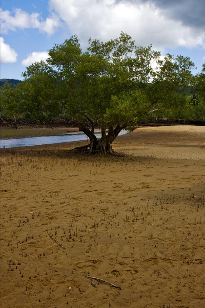 Reserve in madagascar — Stock Photo, Image