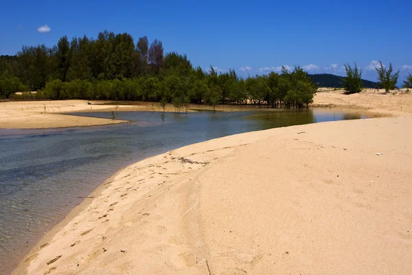 Neugierige Mamoko-Madagaskar-Lagune — Stockfoto