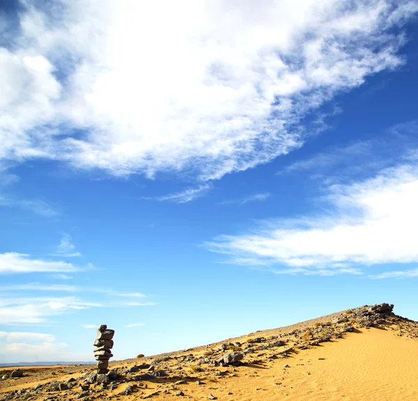 Bush old fossil in  the desert of morocco sahara and rock  ston — Stock Photo, Image