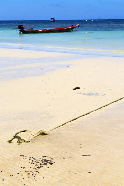 Asia in the  kho tao bay isle white   anchor — Stock Photo, Image