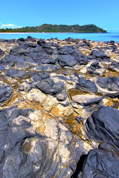 Andilana beach seaweed in   and rock — Stock Photo, Image