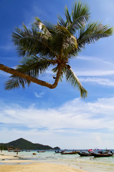 Sol ligt asia en el kho tao bahía isla blanco y sur — Foto de Stock