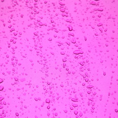 bir araba yansıma ve açılan arka plan bulanıklık