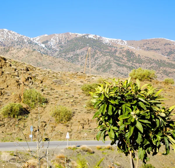 En tierra africana morocco el arbusto seco atlas montaña — Foto de Stock