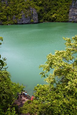   soyut yeşil bir lagün ve su insan