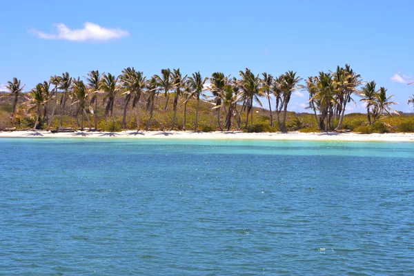 Isla contoy i Mexiko dag våg — Stockfoto