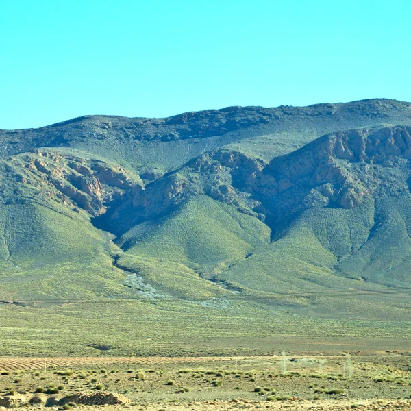 Bush  in    valley  morocco     africa the atlas dry mountain — Stock Photo, Image