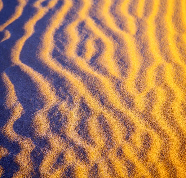 África a duna de areia marrom na linha do deserto de sahara morocco — Fotografia de Stock