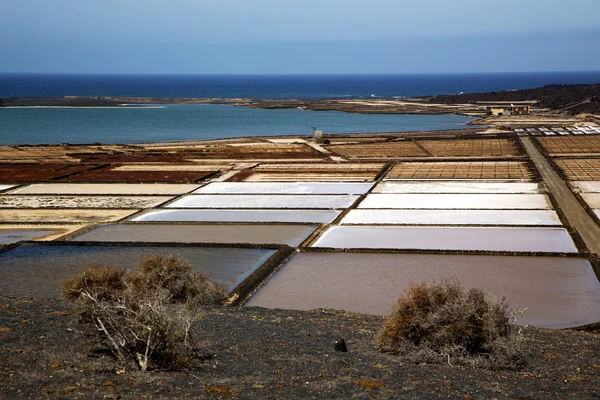Kustlijn zout in lanzarote Spanje hemel water en in de zomer — Stockfoto