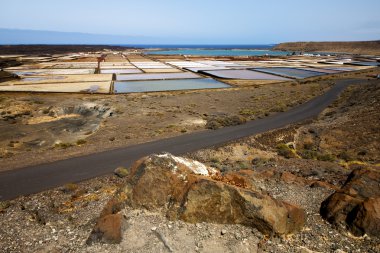 Lanzarote İspanya misk p tuz
