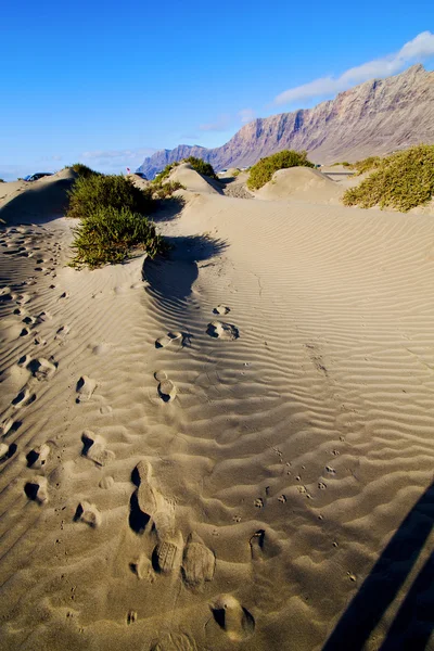 Abstrait jaune dune plage hil montagne dans la lanzarote sp — Photo