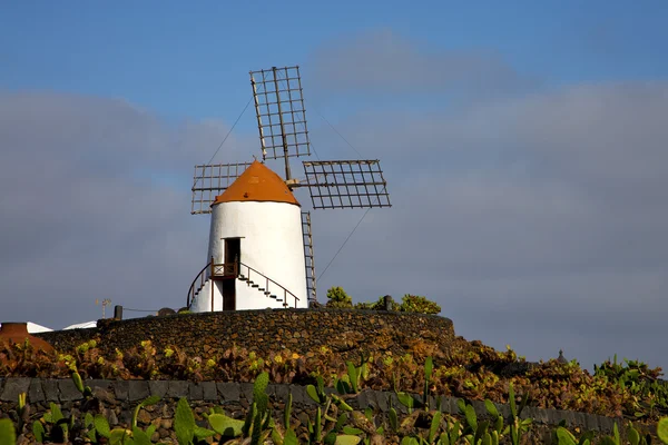 Molinos de cactus África españa y cielo — Foto de Stock