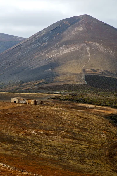 Ev bağcılık lanzarote — Stok fotoğraf