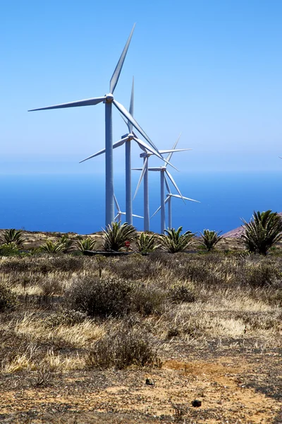 Turbinas eólicas africanas a ilha de espanha lanzarote — Fotografia de Stock