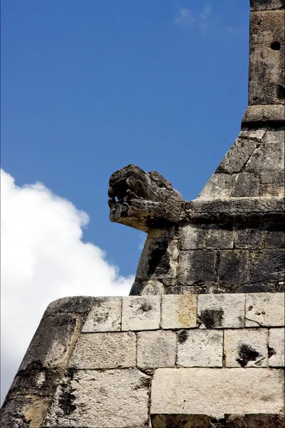 Schlange in Mauer Mexiko — Stockfoto