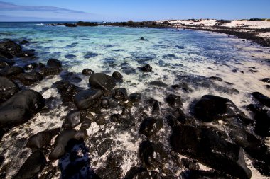 gökyüzü ışık plaj su lanzarote Adası köpük rock peyzaj 