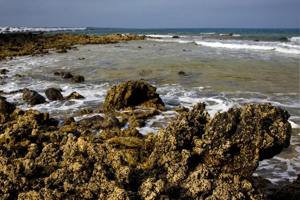 Dans lanzarote île roche espagne paysage pierre — Photo