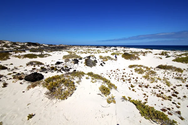 Espagne île blanc plage plante roches lanzarote — Photo