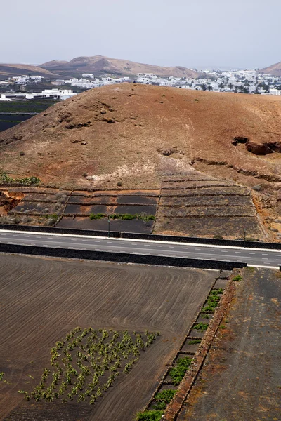 Street  home viticulture  winery lanzarote — Stock Photo, Image