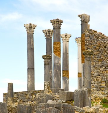 Volubilis Fas Afrika eski Roma bozulan anıt 