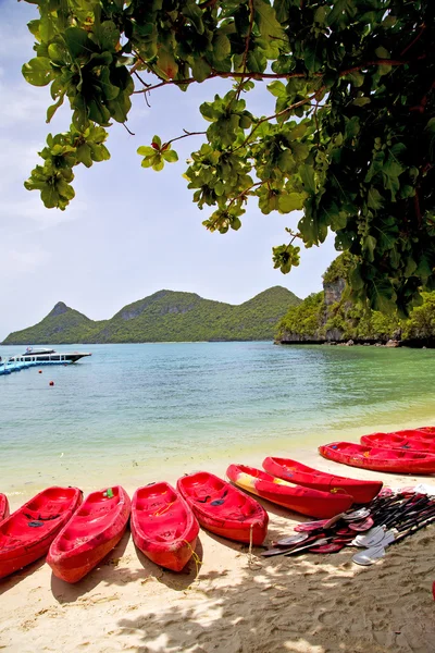 Bootsküste einer grünen Lagune Yacht thailand kho phangan b — Stockfoto