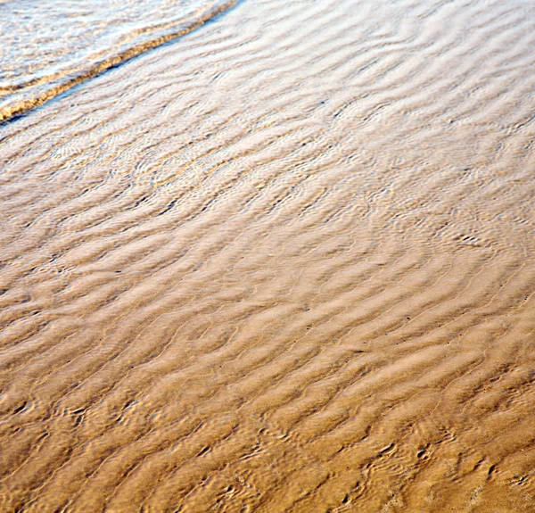 Dune morocco em áfrica costa marrom praia de areia molhada perto de atlan — Fotografia de Stock