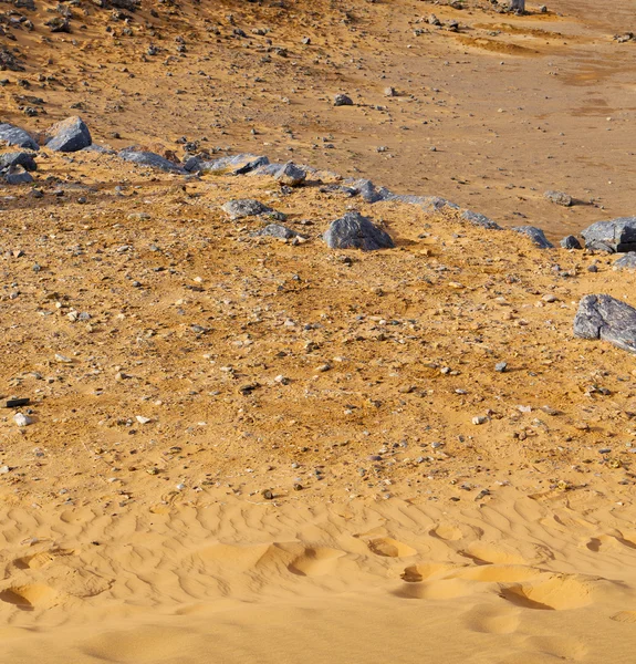 A sivatagban a marokkói Szahara és rock kő ég régi fosszilis — Stock Fotó