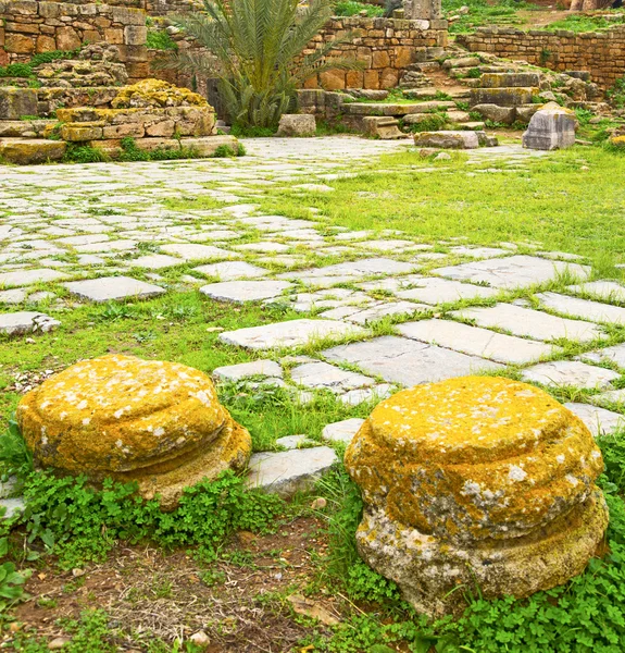 Chellah au Maroc afrique le vieux monument romain détérioré a — Photo