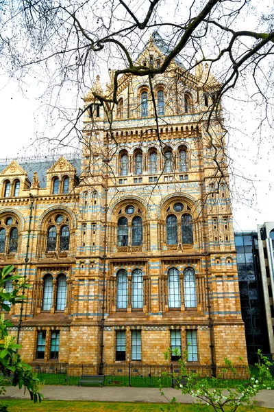Alte Konstruktion in london englan window — Stockfoto