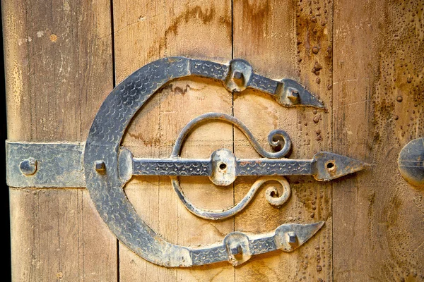 Morocco knocker in africa the old — Stock Photo, Image