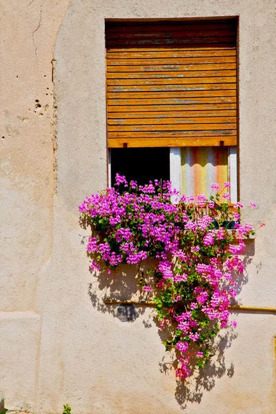 在欧洲意大利米兰老建筑鲜花 — 图库照片