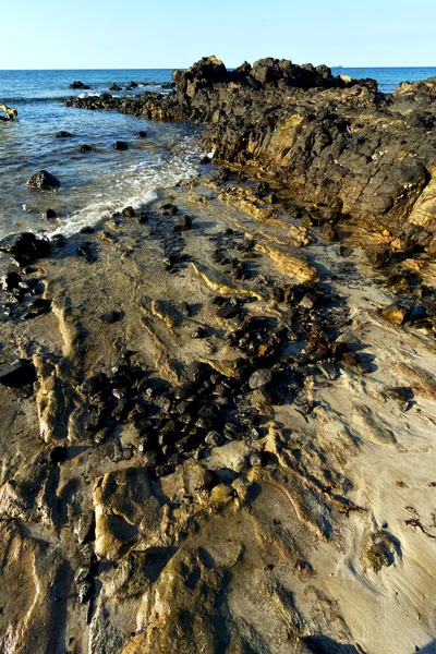 Madagaskar andilana plaj deniz yosunu içinde ve rock — Stok fotoğraf